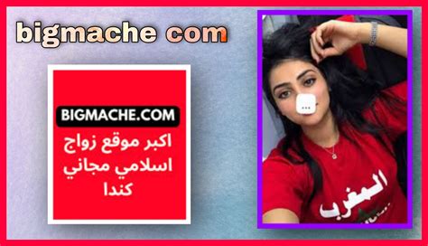 bigmache com بالعربي|www.bigmache.com.